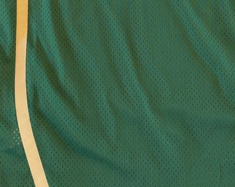 Lebron James High School Jersey