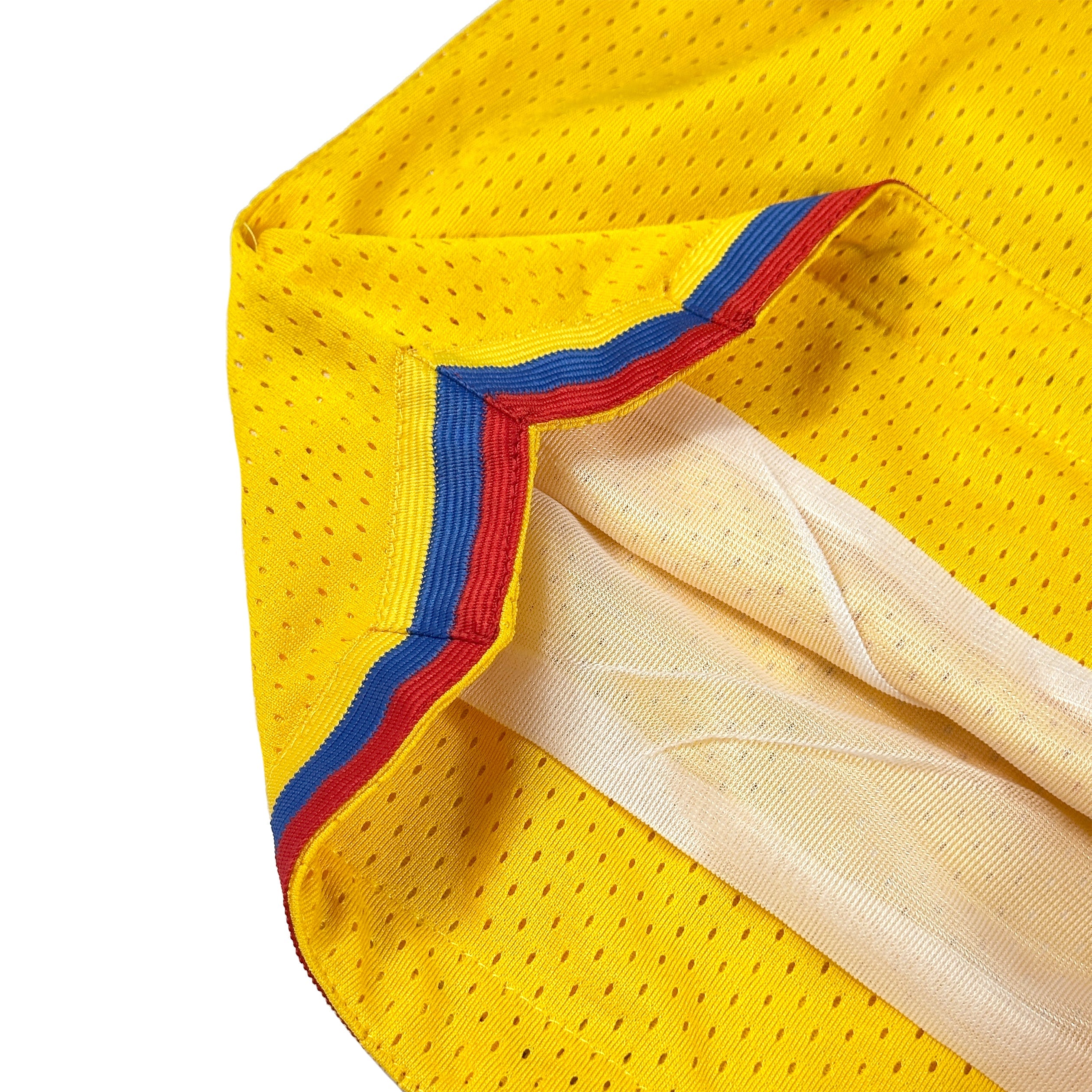 Colombia Heritage Basketball Shorts