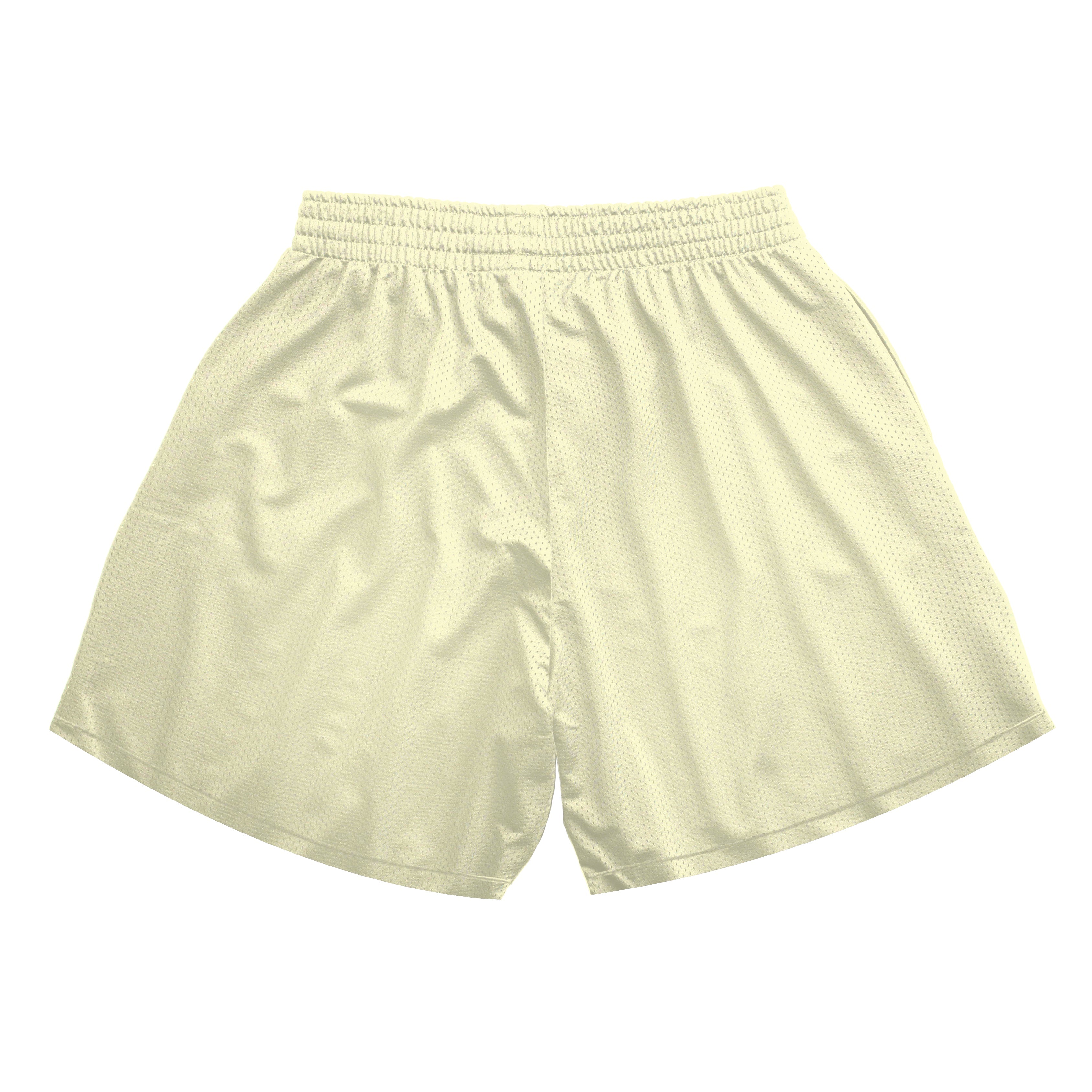Sand Mesh Shorts