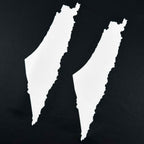 Palestine Heritage Custom Football Jersey
