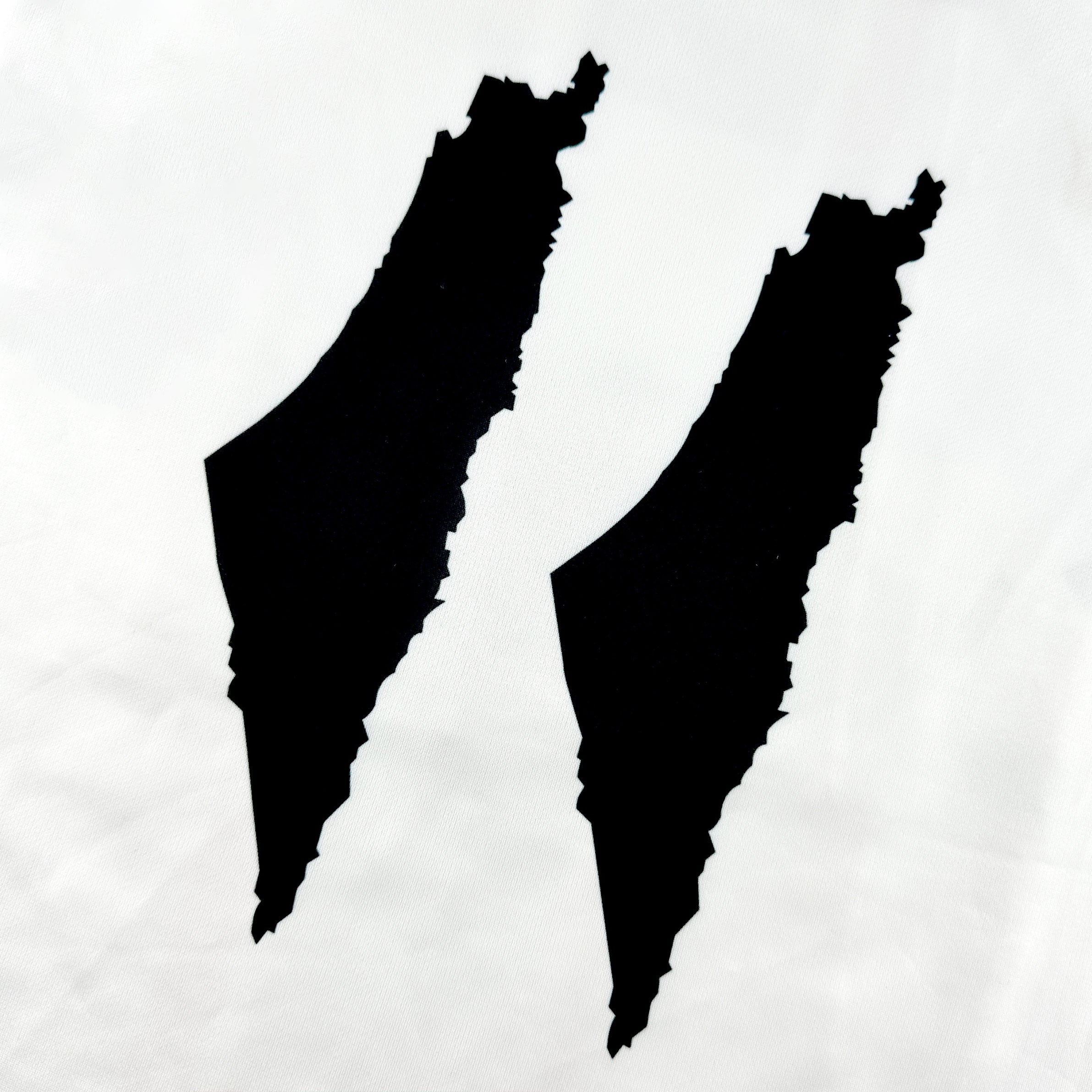 Palestine Heritage Custom Football Jersey