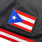 Custom Puerto Rico 'Borinquen' Heritage Basketball Shorts